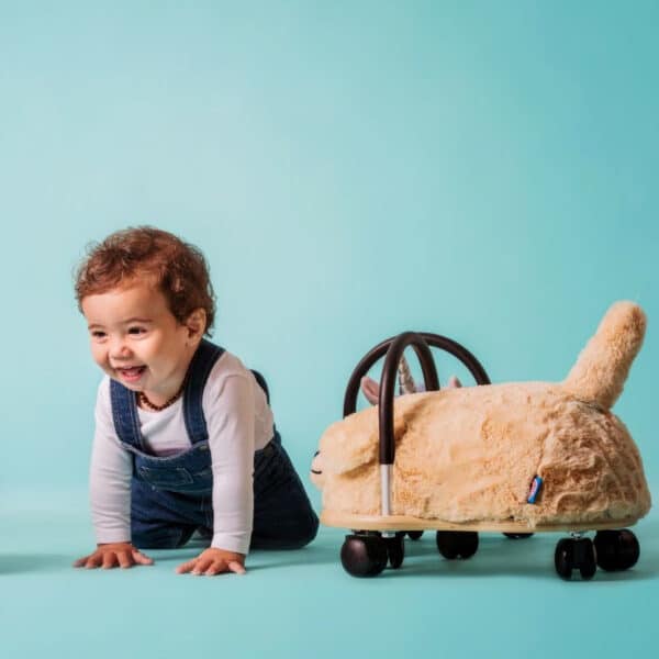 Wheely Bug Loopwagen Plush - Hond