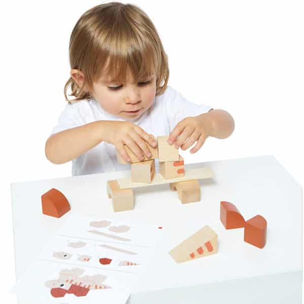 115833 Janod Dino Blokken Set Cubicosurus +2jr 3700217358334 - (11)