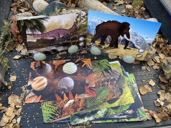 Yellow Door Prehistorische Tanden Explore and Discover Activity Kaarten 5060213763296
