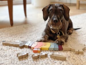 12413 Small Foot Alfabet Puzzel Teckel Hond 4020972124135 (1)