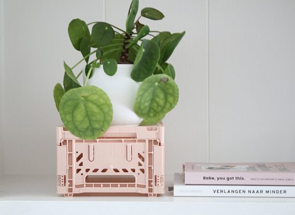 AyKasa Folding Crate Maxi Box - Salmon