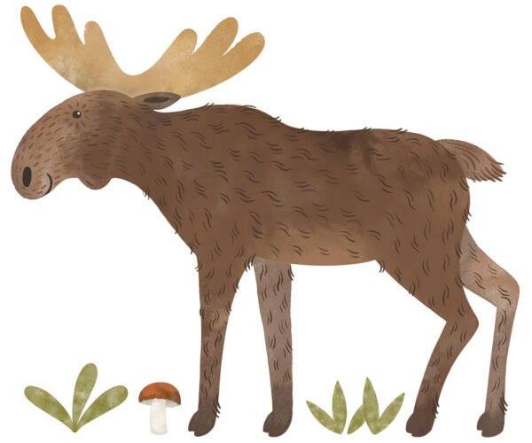 Lilipinso Norwood Muurstickers XL - Caribou Eland