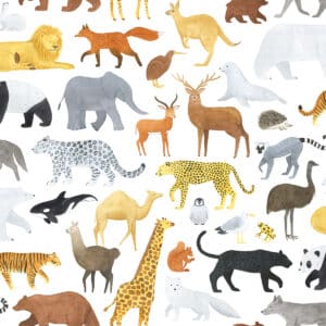 Lilipinso Living Earth Behang - Dieren van de Wereld