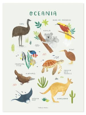 Lilipinso Living Earth Poster - Dieren van Oceanië