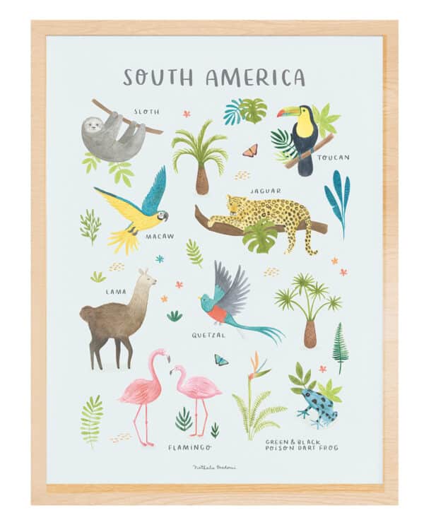 Lilipinso Living Earth Poster - Dieren van Zuid Amerika