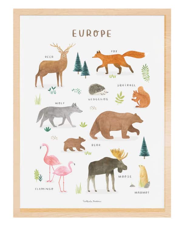 Lilipinso Living Earth Poster - Dieren van de Europa