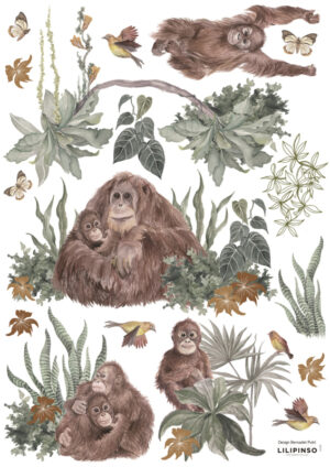 Lilipinso Utan Muurstickers A3 - Orang Oetans (29