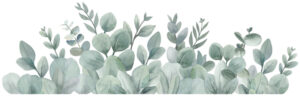 Lilipinso Greenery Muursticker XL - Eucalyptus Foliage (op=op)