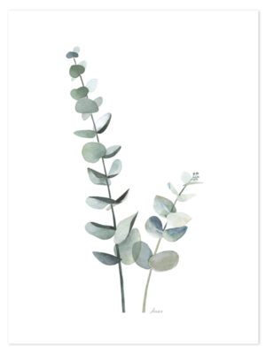 Lilipinso Greenery Poster - Eucalyptus (30x40cm)