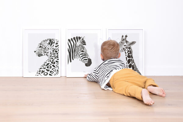 Lilipinso Serengeti Poster - Zebra (P0264)