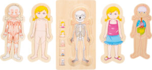 Small Foot Educate Puzzel Anatomie - Meisje + 4jr