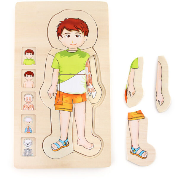 Small Foot Educate Puzzel Anatomie - Jongen + 4jr