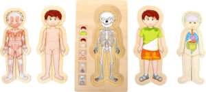 Small Foot Educate Puzzel Anatomie - Jongen + 4jr