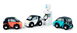 4608373 Tender Leaf Eco Auto's en Oplaadpunt +18mnd 0191856083733 (1)