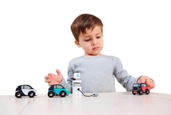 4608373 Tender Leaf Eco Auto's en Oplaadpunt +18mnd 0191856083733 (3)
