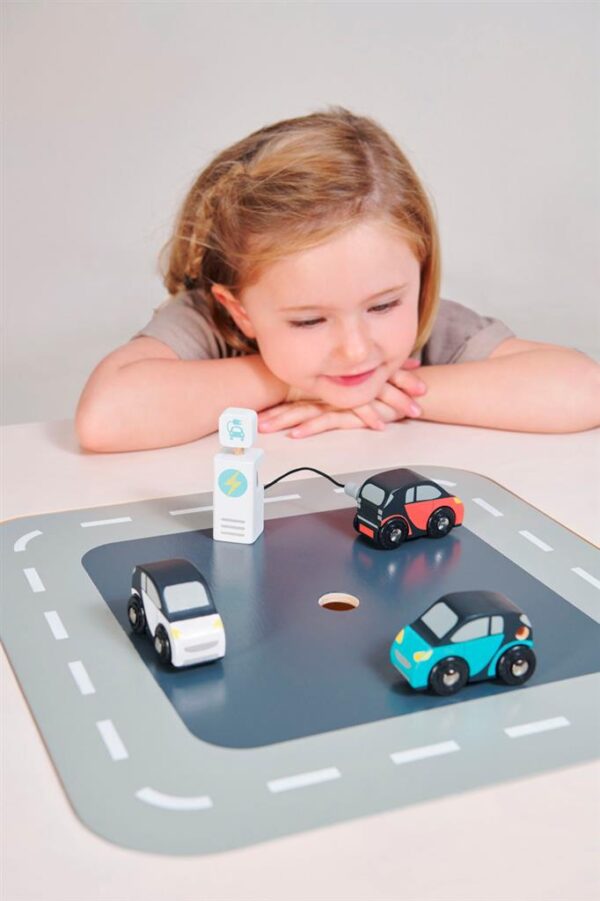 4608373 Tender Leaf Eco Auto's en Oplaadpunt +18mnd 0191856083733 (4)