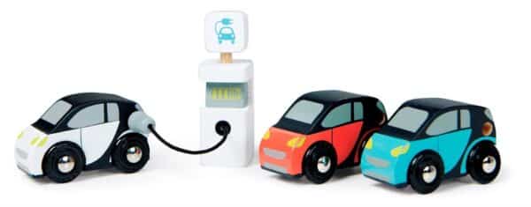4608373 Tender Leaf Eco Auto's en Oplaadpunt +18mnd 0191856083733 (7)