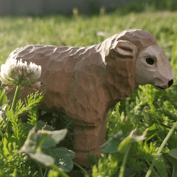 Wudimals Schaap 0701575406050