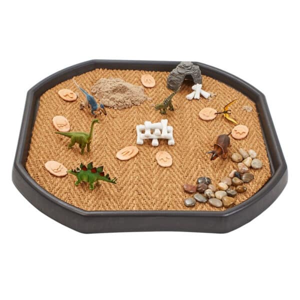 Yellow Door Dinosaurus Botten Discovery Set + 2jr
