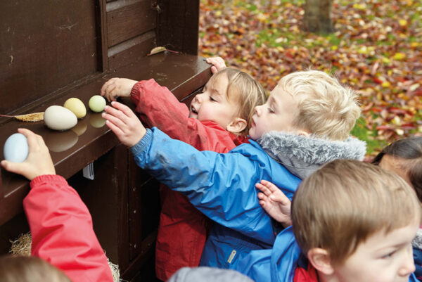 Yellow Door Sensory Eieren Rangschikken (8 stuks) + 3jr