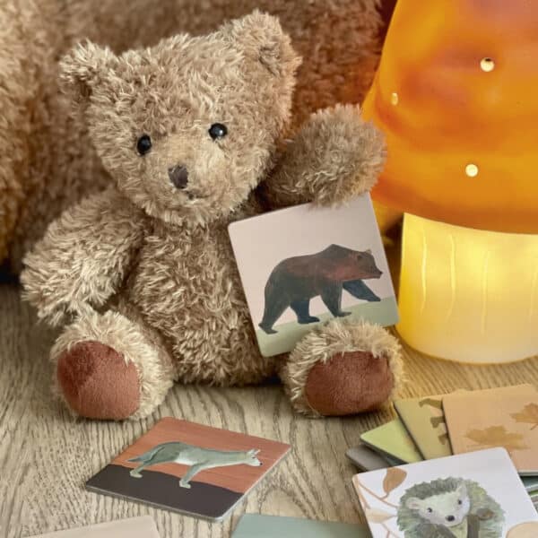 Egmont Toys Memory Bosdieren +3jr