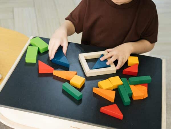 Plantoys breuken blokken rekenen