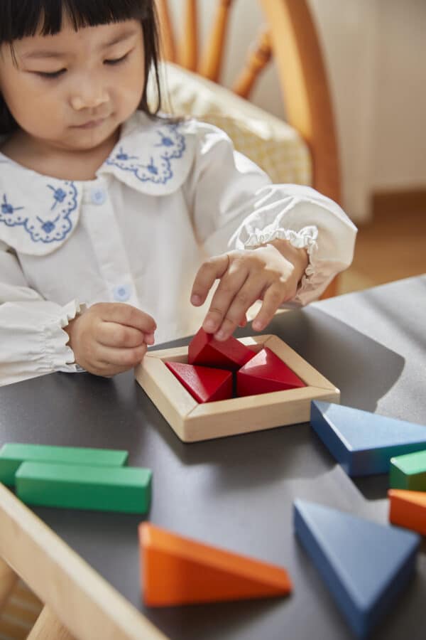 Plantoys breuken blokken rekenen