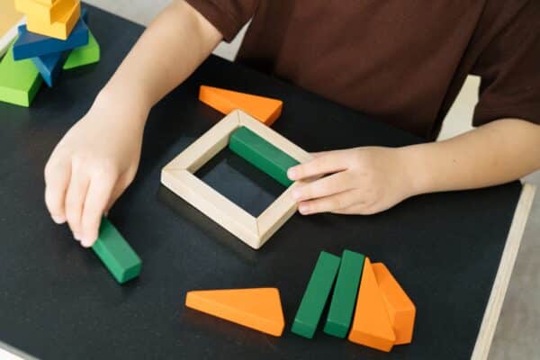 Plantoys breuken blokken rekenen