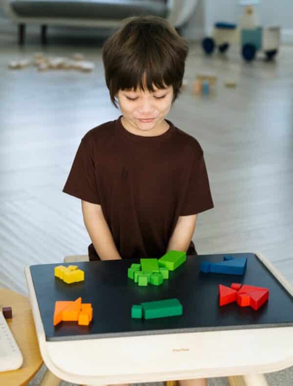 Plantoys breuken blokken rekenen
