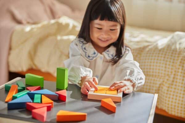 Plantoys breuken blokken rekenen