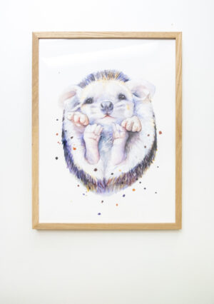 Veer Illustratie Poster - Egel