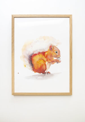 Veer Illustratie Poster - Eekhoorn