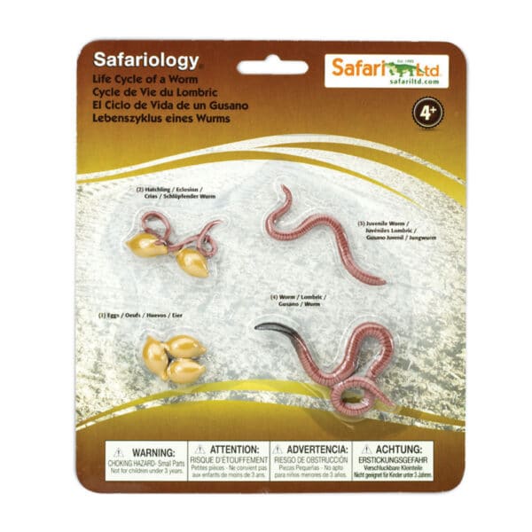 Safari Levenscyclus - Worm