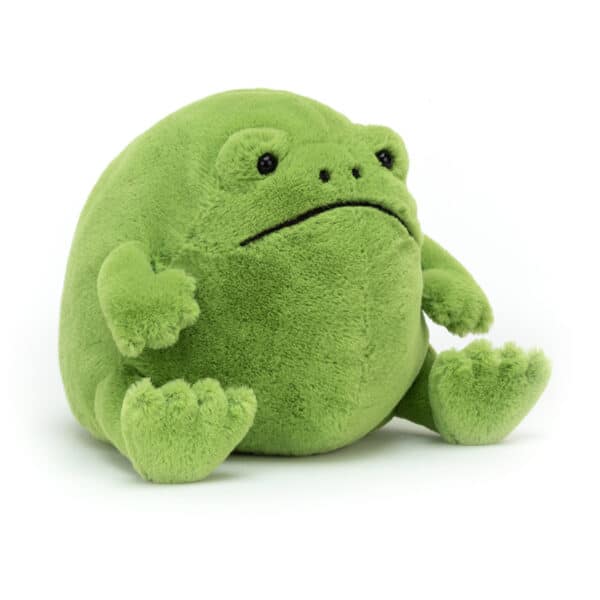 Jellycat Knuffel Kikker Ricky Rain Frog (17 cm)