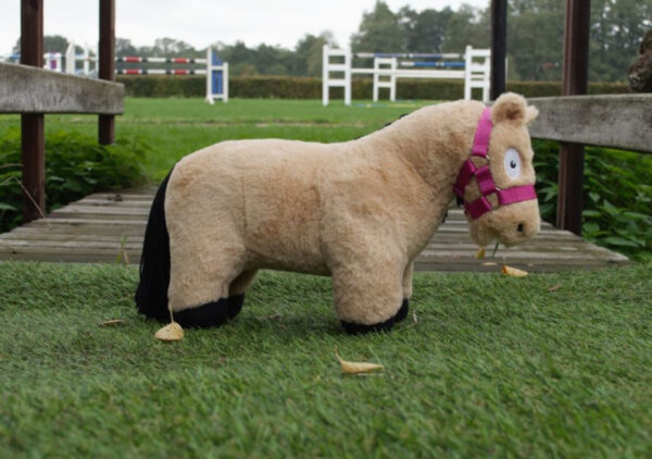 Crafty Ponies Halster Roze incl. instructieboekje