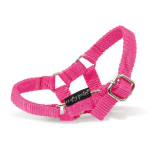 Crafty Ponies Halster Roze incl. instructieboekje