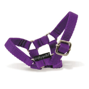 Crafty Ponies Halster Paars incl. instructieboekje