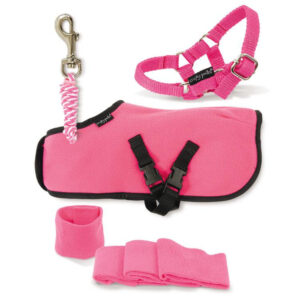 Crafty Ponies Fleecedeken Set Roze incl. instructieboekje