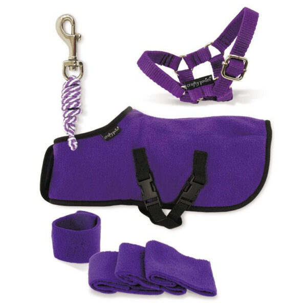 Crafty Ponies Fleecedeken Set Paars incl. instructieboekje