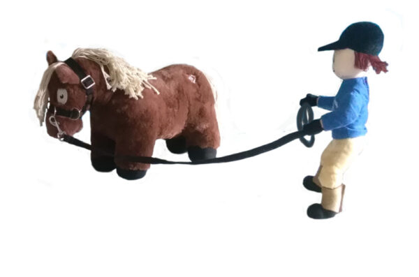 Crafty Ponies Longeer Set incl. instructieboekje