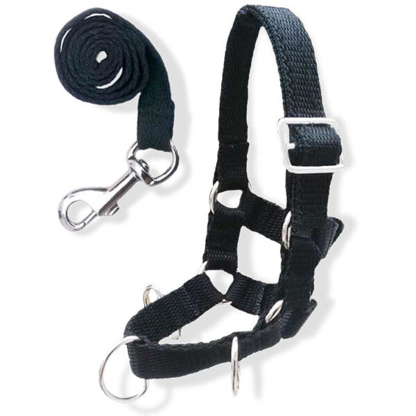 Crafty Ponies Longeer Set incl. instructieboekje
