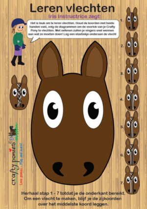 Crafty Ponies Vlecht Voorlok Bord incl. instructieboekje