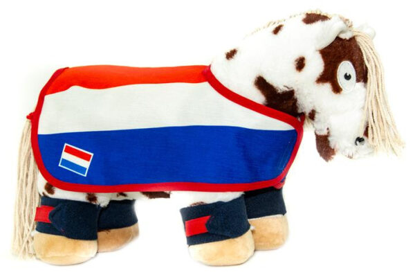 Crafty Ponies Nationale Wedstrijdset Nederlandse vlag incl. instructieboekje