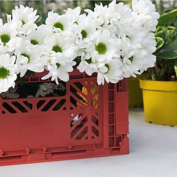 AyKasa Folding Crate Mini Box - Almond Green