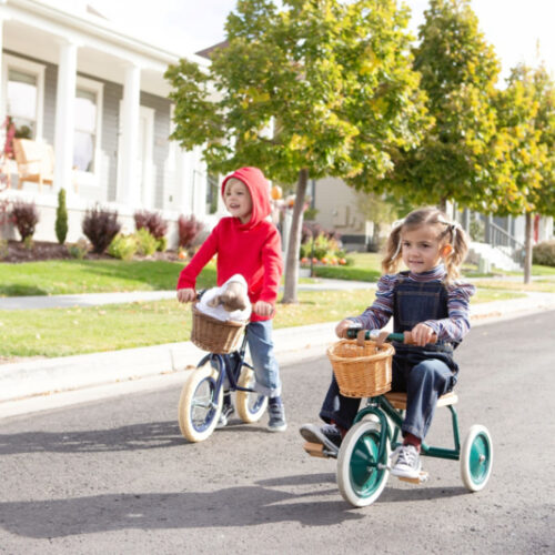 Banwood Trike Driewieler - Groen (incl. rieten mandje en duwstang)