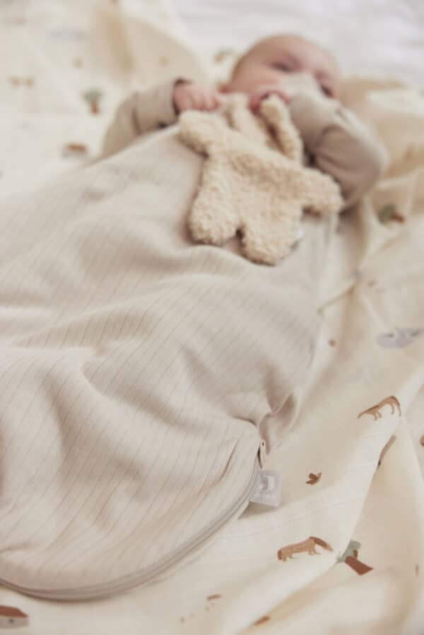 8717329370302 Jollein Speendoekje Teddy Bear - Naturel - 031-594-67007 - (7)