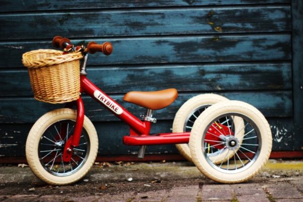 Trybike Steel Fietsmandje - Rotan