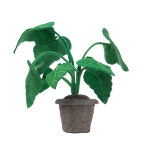 KidsDepot Kamerplant Vilt - Alocasia
