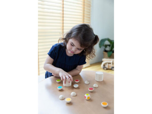 Plantoys Houten Spelletje - Shake N Flip (op=op)