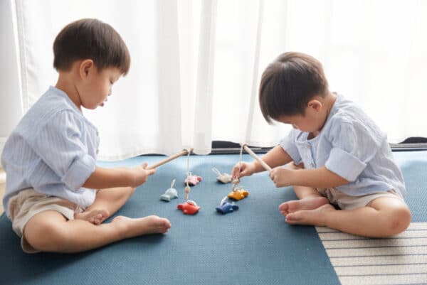 Plantoys Vis Spel +3jr